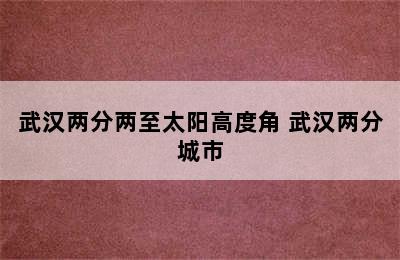 武汉两分两至太阳高度角 武汉两分城市